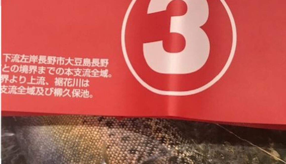 I犀川入漁券